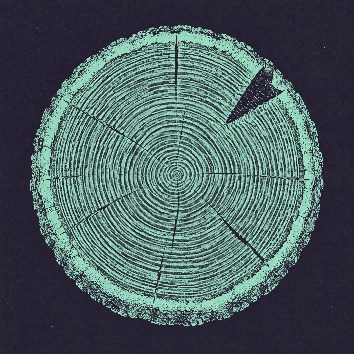 A tree section with dozens of growth rings and one dark wedge-shaped fire scar.